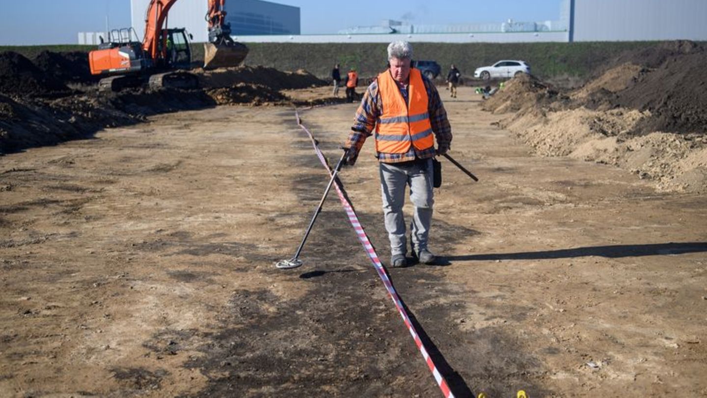 Thomas Voigtbeim Landesamt für Denkmalpflege und Archäologie Sachsen-Anhalt