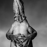 GOLD: ERNOULT ALAIN, FRANCE  The Lesser Antillean Iguana, photographed on Grenada Island (Windward Islands, Caribbean, West Indies).