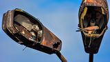 GOLD: VLADISLAV TASEV, UK  The common kestrel (Falco tinnunculus). A male kestrel perched in its nest, dilapidated old, tall and rusty street lamps that have become the bird's home. A place I wouldn't expect to see her. I took the picture at sunset to see the rust, the lamps and the bird in natural light. The photo was taken in the town of Stara Zagora near the Thracian University, in an abandoned parking lot near a small forest.