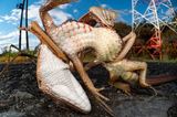Takuya Ishiguro    Japan    Praying mantis and lizard    Miyagi, Japan    Silver    Behaviour - Invertebrates