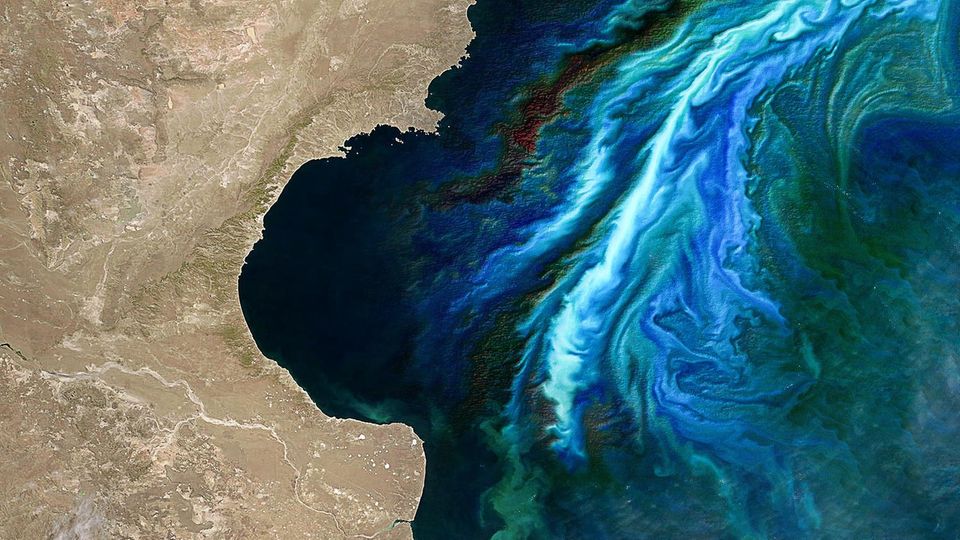 Phytoplankton-Blüten in den Küstenozeanen der Erde: Bei der Blüte kann das Plankton das Wasser je nach Art der Organismen verfärben