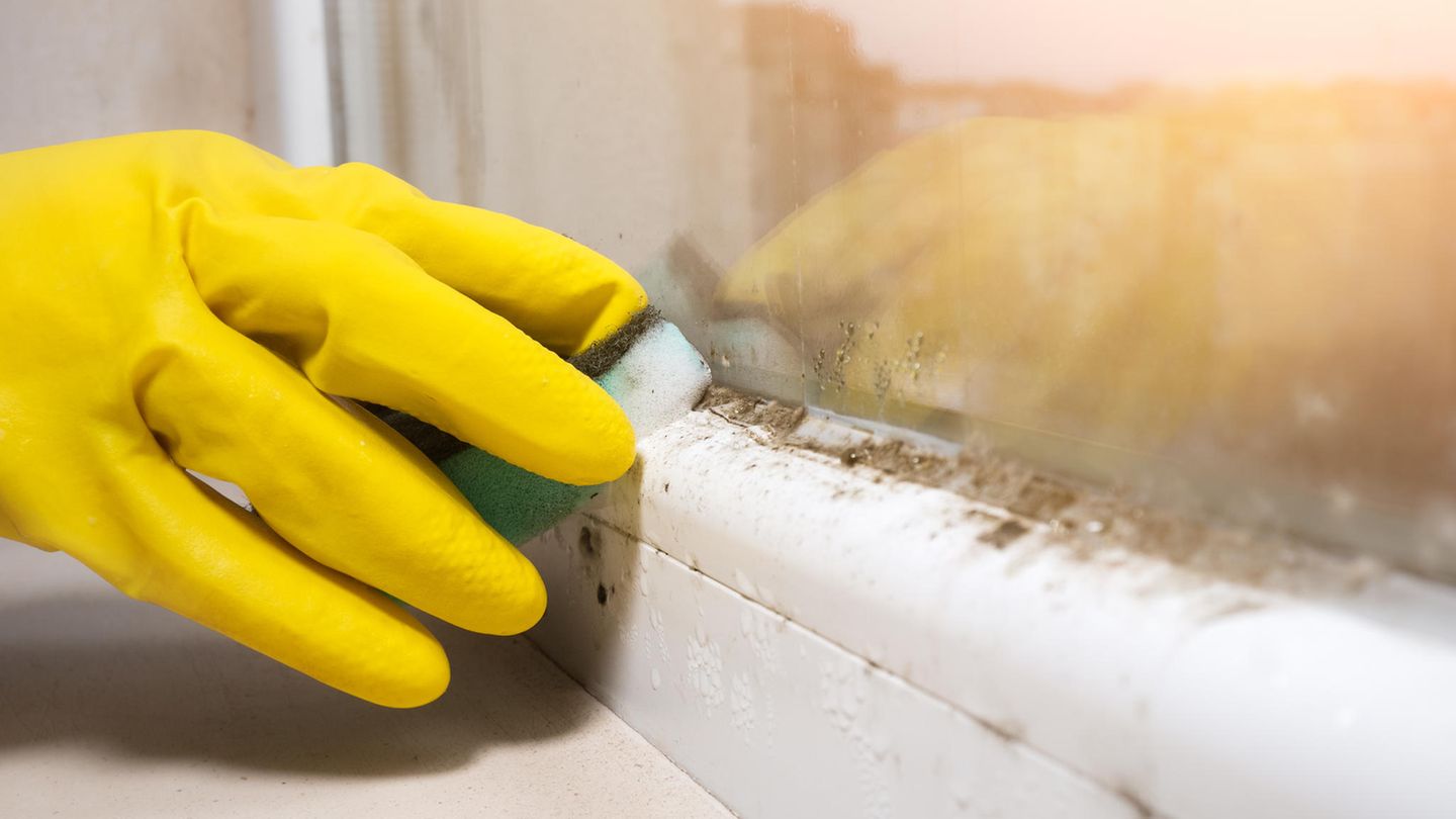 Am Fenster Schimmel entfernen