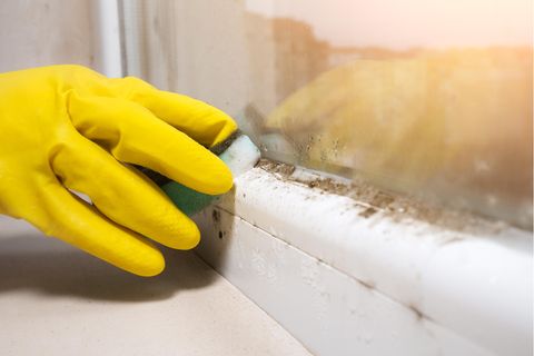Am Fenster Schimmel entfernen