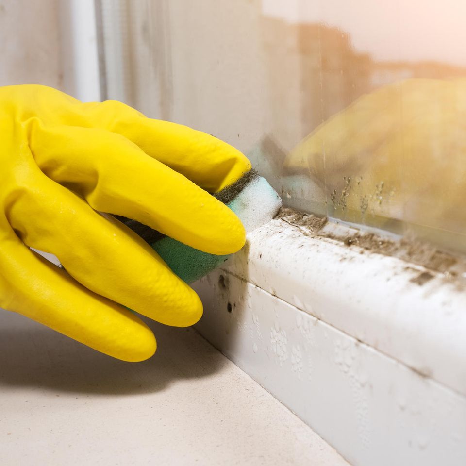 Am Fenster Schimmel entfernen