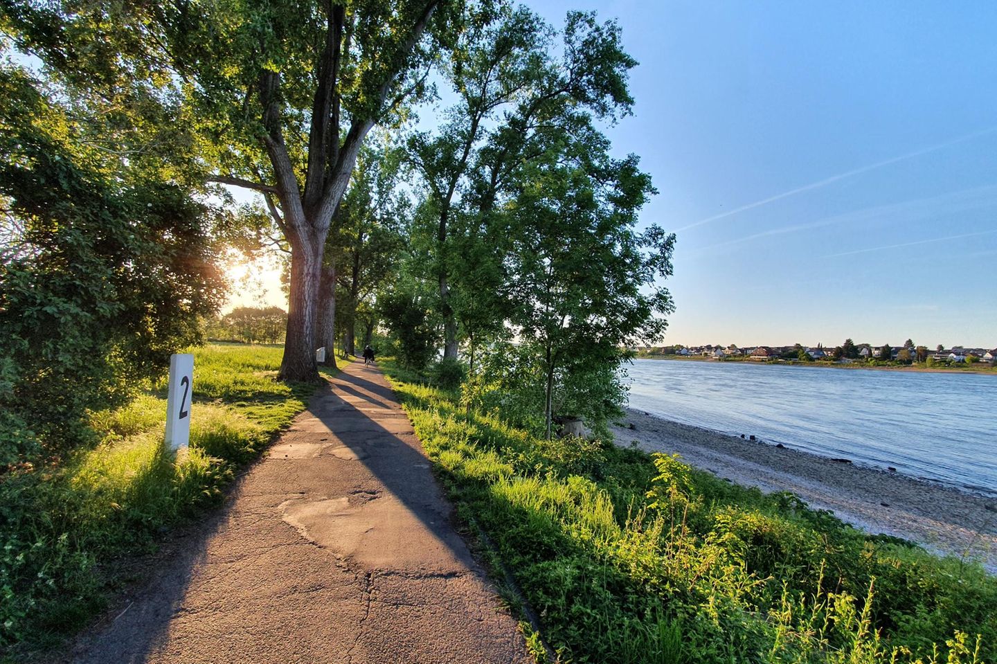 Radweg am Rhein bei Bonn