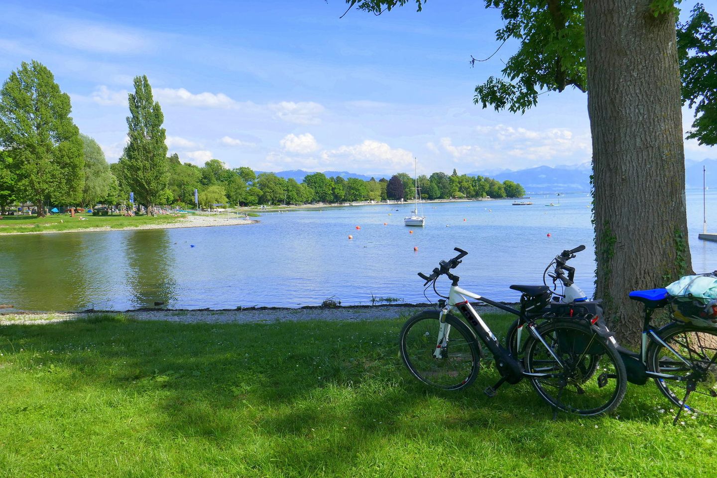 Zwei Fahrräder am Bodensee-Radweg bei Wasserburg