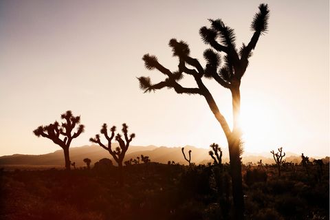 El Niño könnte zurückkehren