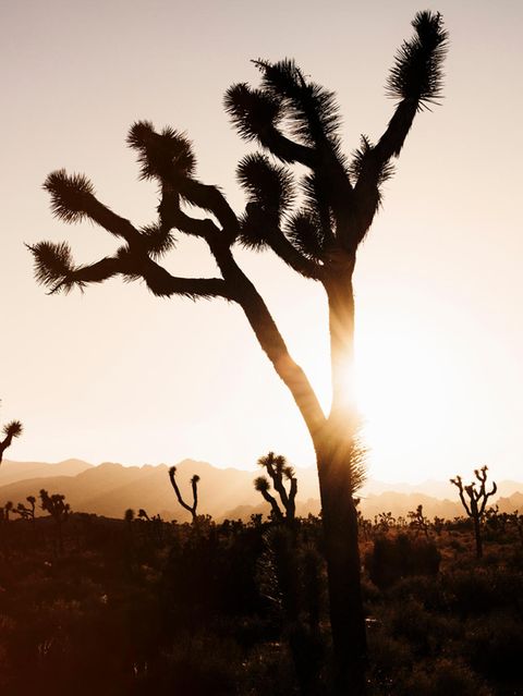 El Niño könnte zurückkehren