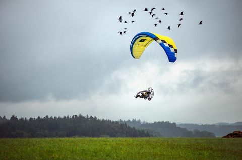 Übungsflug für ein Artenschutzprojekt