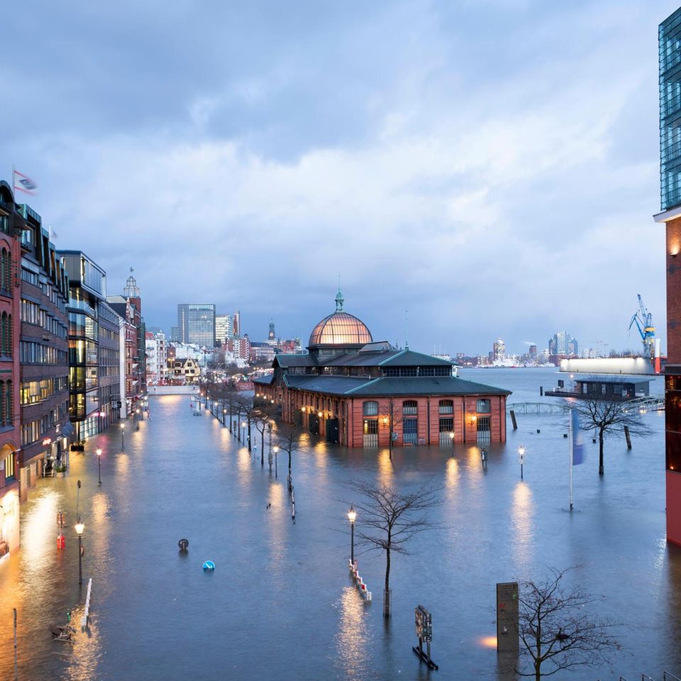 Hamburg, St Pauli Fischmarkt, Fischauktionshalle