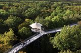 Baumkronenpfad im Nationalpark Hainich