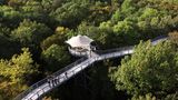 Baumkronenpfad im Nationalpark Hainich