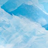 Zügelpinguine leben vor allem im Westen und Norden der antarktischen Halbinsel, aber auch an der Küste der Antarktis und auf wenigen Inseln im Südatlantik