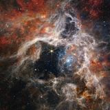 Im Tarantula-Nebel, der 161 000 Lichtjahre von der Erde entfernt ist, befindet sich die größte und hellste Sternbildungsregion in unserer näheren kosmischen Umgebung. Im Herz des Nebels leuchten strahlend blau dargestellt unzählige junge, sehr heiße Sonnen. Ihre massive Strahlung hat Gas und Staub um sie herum hinweggeblasen und so eine Art Höhle geformt