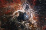 Im Tarantula-Nebel, der 161 000 Lichtjahre von der Erde entfernt ist, befindet sich die größte und hellste Sternbildungsregion in unserer näheren kosmischen Umgebung. Im Herz des Nebels leuchten strahlend blau dargestellt unzählige junge, sehr heiße Sonnen. Ihre massive Strahlung hat Gas und Staub um sie herum hinweggeblasen und so eine Art Höhle geformt