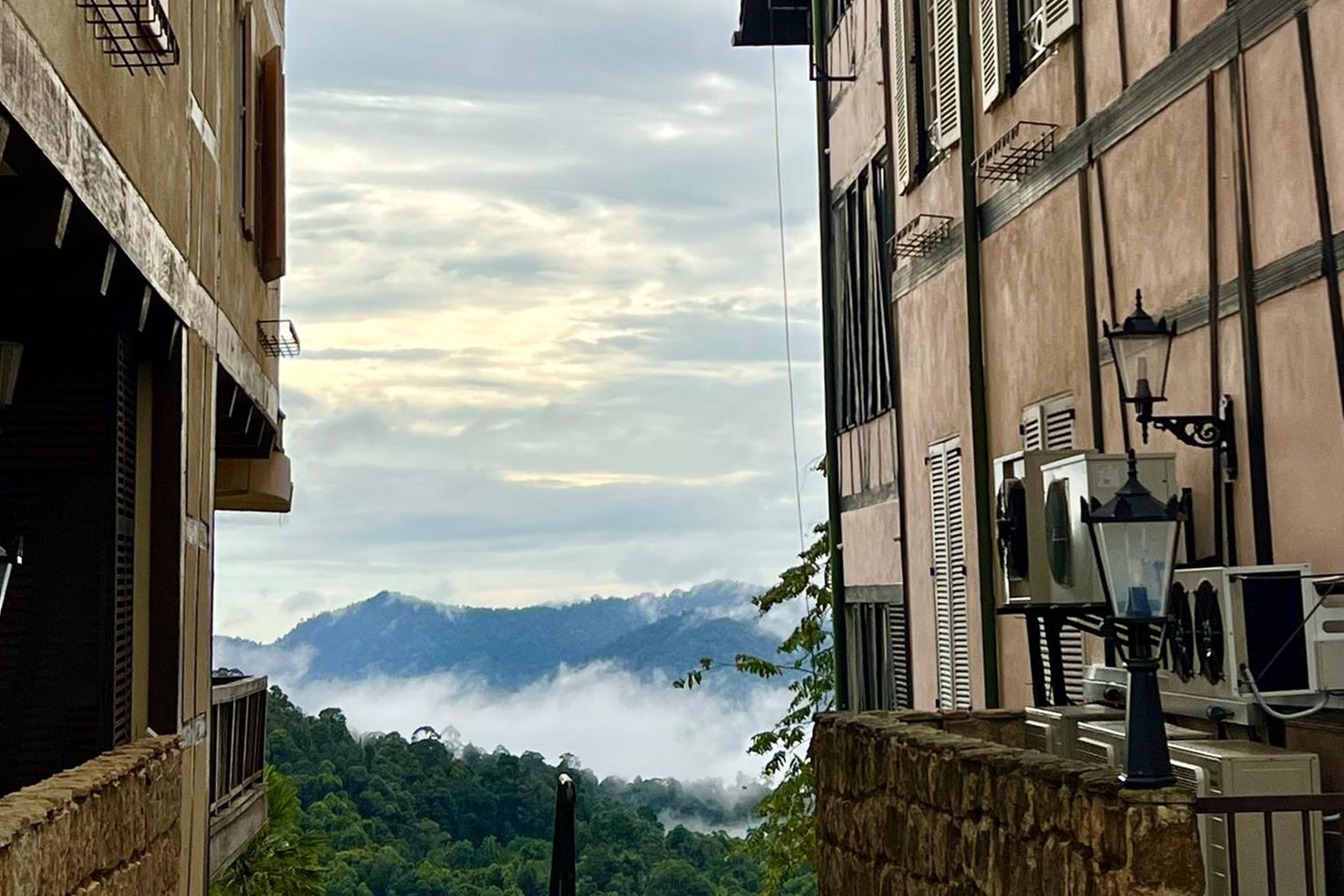 Blick zwischen zwei Fachwerkhäusern auf den nebelverhangenen Dschungel