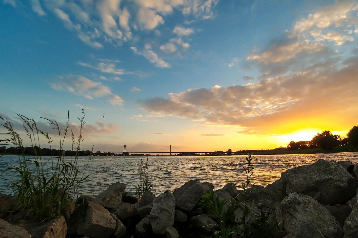 Blick auf den Rhein bei Sonnenuntergang