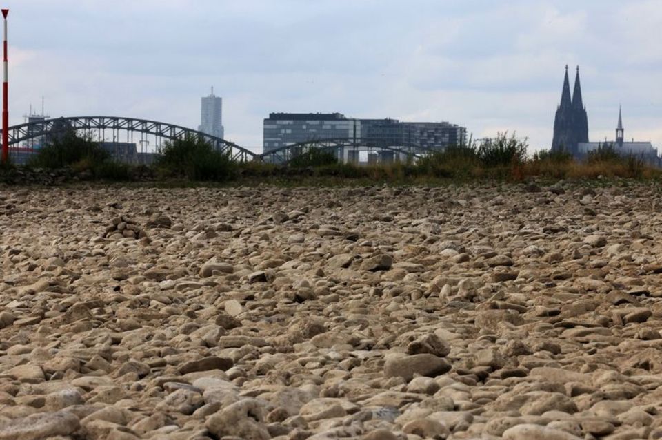 Der ausgetrocknete Uferbereich des Rheins bei Köln im vergangenen Sommer. Foto: Oliver Berg/dpa