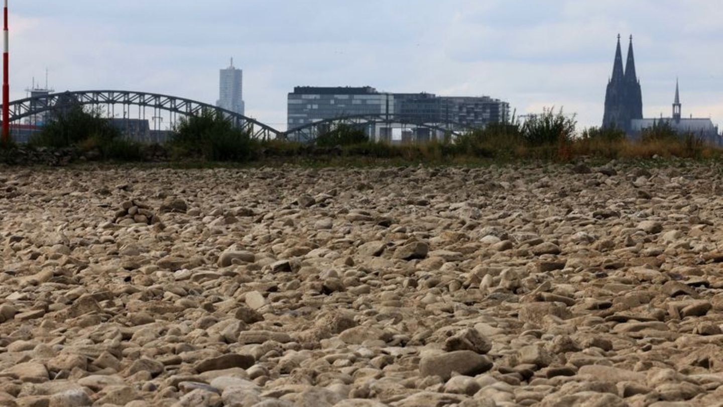 Der ausgetrocknete Uferbereich des Rheins bei Köln im vergangenen Sommer. Foto: Oliver Berg/dpa