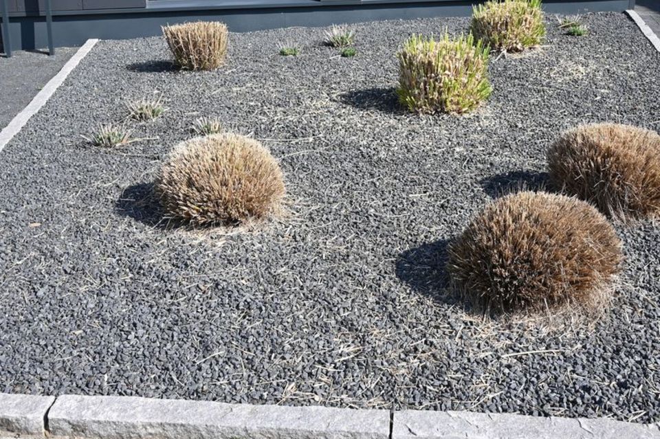 Nur wenige Pflanzen ragen aus einem Vorgarten mit grauen und schwarzen Kieselsteinen - ein möglicher Kandidat für die "Gärten de