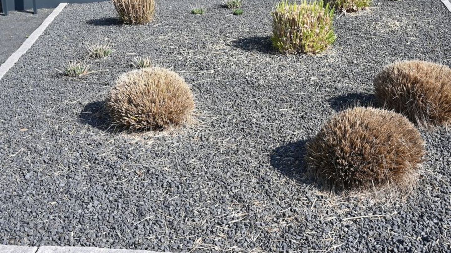 Vorgarten mit grauen und schwarzen Kieselsteinen