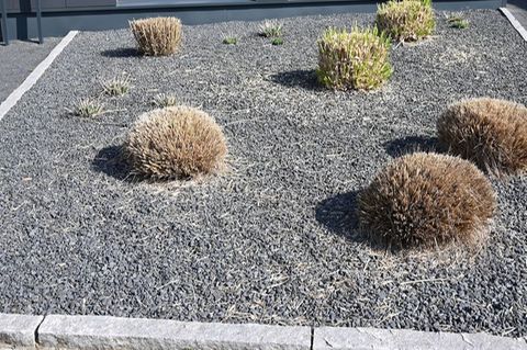 Vorgarten mit grauen und schwarzen Kieselsteinen