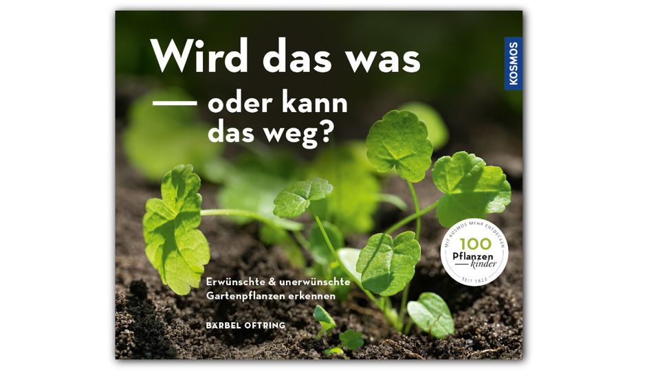 Wird das was oder kann das weg Wird das was oder kann das weg