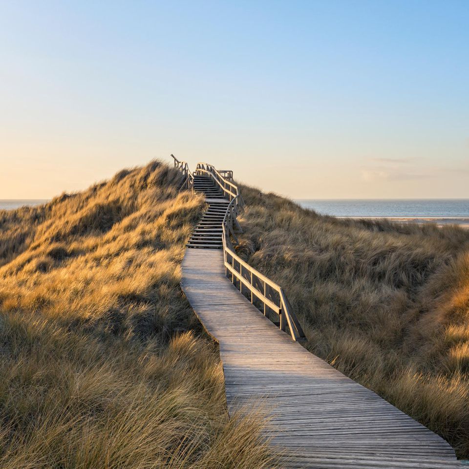 Dünen auf Amrum