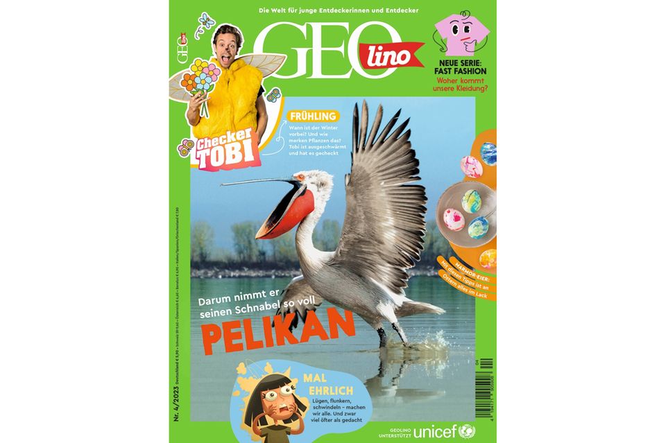 GEOlino Magazin: Pelikan