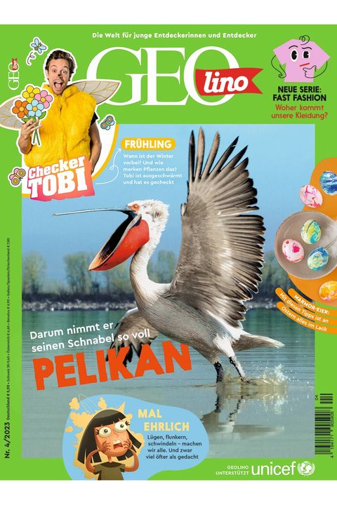 GEOlino Magazin: Pelikan