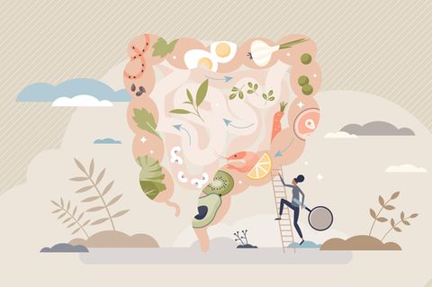 Illustration eines Darms mit verschiedenen Lebensmitteln drin