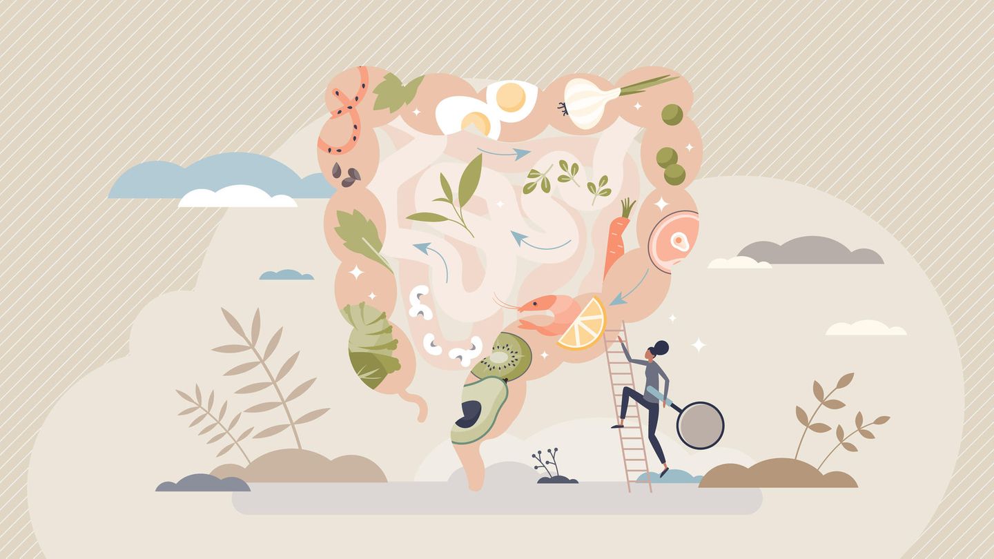 Illustration eines Darms mit verschiedenen Lebensmitteln drin