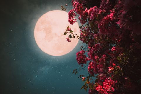 HALLO HIMMEL: "Pink Moon" zu Ostern