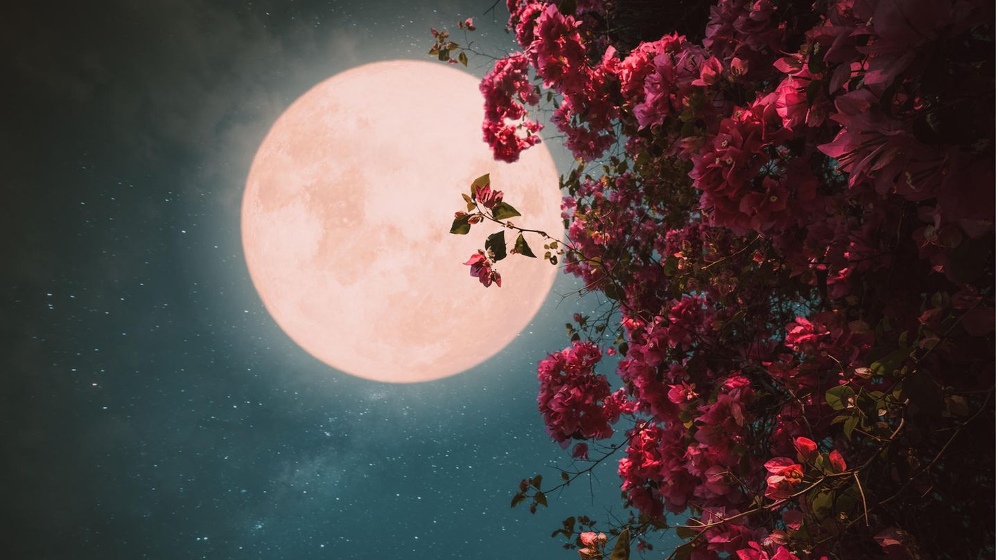 HALLO HIMMEL: "Pink Moon" zu Ostern