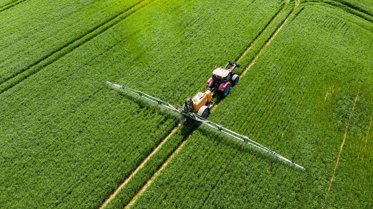 Durch die Düngung landwirtschaftlich genutzter Flächen ist das Grundwasser in vielen Regionen Deutschlands zu stark mit Nitrat belastet.