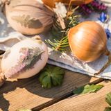 Ei mit Blatt im Nylonstrumpf