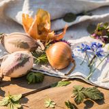 Eier in Strumpfbändern