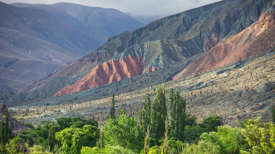 Üppige Vegetation zieht sich am Fluss Purmamarca entlang, im Hintergrund ist der Berg Cerro de los Siete Colores zu sehen