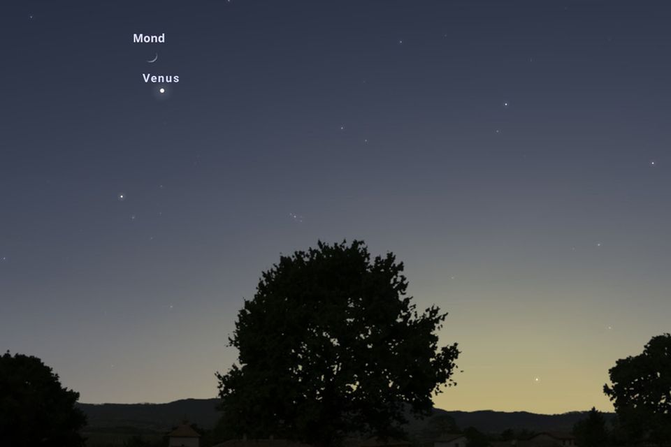 Astrohighlights im April: Am Frühlingshimmel: "Pinker" Ostervollmond, Venus und Sternschnuppen