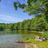 Menschen baden im Großen Stechlinsee