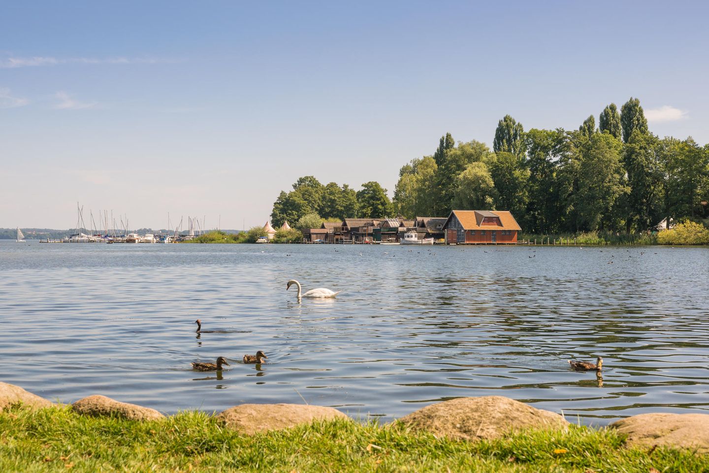 Mit Blick aufs Schloss: Schwerin, Schweriner See Schweriner See in Schwerin, Mecklenburg-Vorpommern