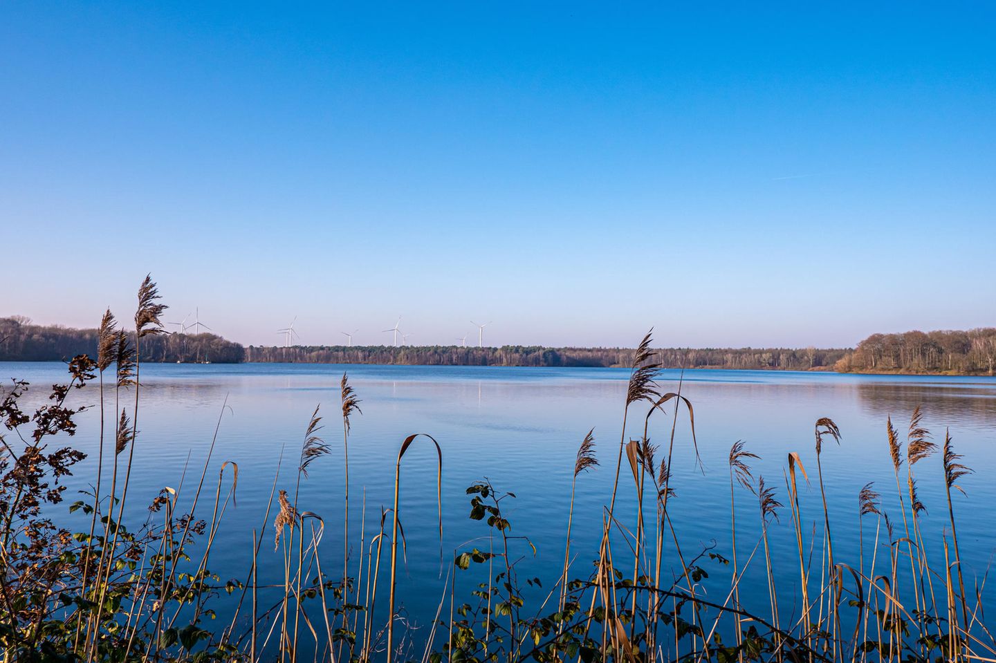 Halterner Stausee
