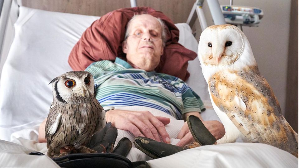 Horst Demsky mit Eulen