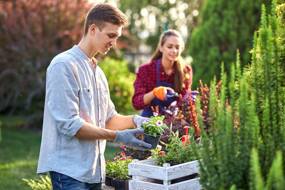Ein Mann und eine Frau erledigen zusammen Gartenarbeiten.