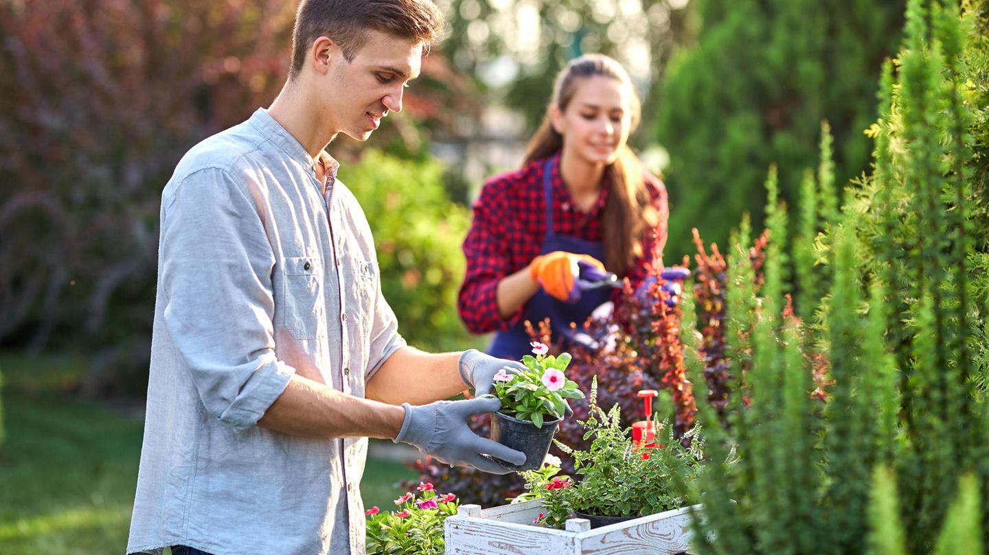 Ein Mann und eine Frau erledigen zusammen Gartenarbeiten.