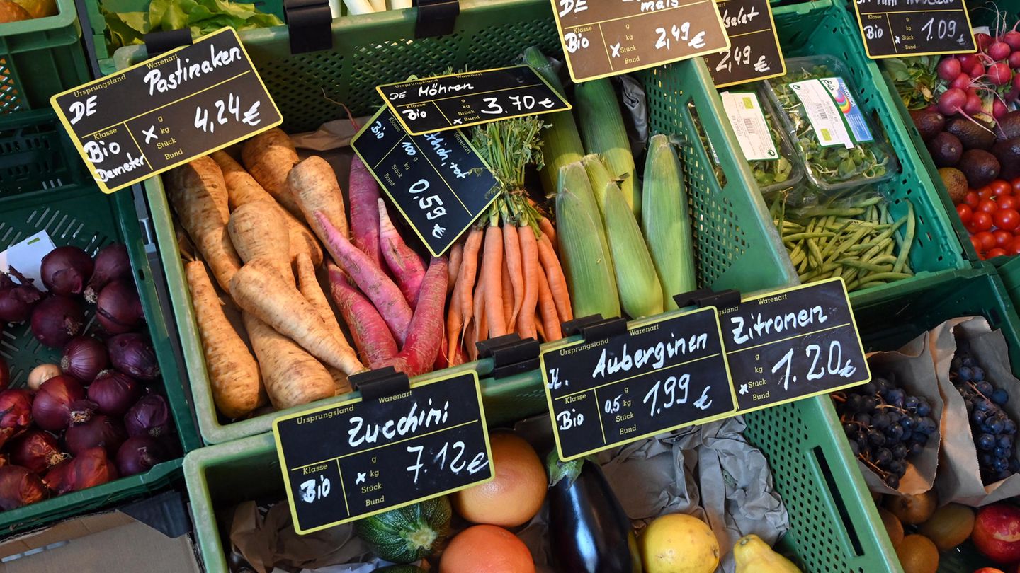 Verschiedenes Biogemüse in grünen Kisten sortiert
