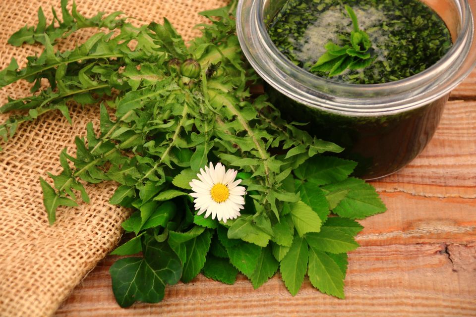 Lecker zu Pasta, auf dem Brot oder als Dip: Pesto aus Wildkräutern ist im Handumdrehen selbstgemacht