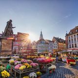 Wochenmarkt in Coburg