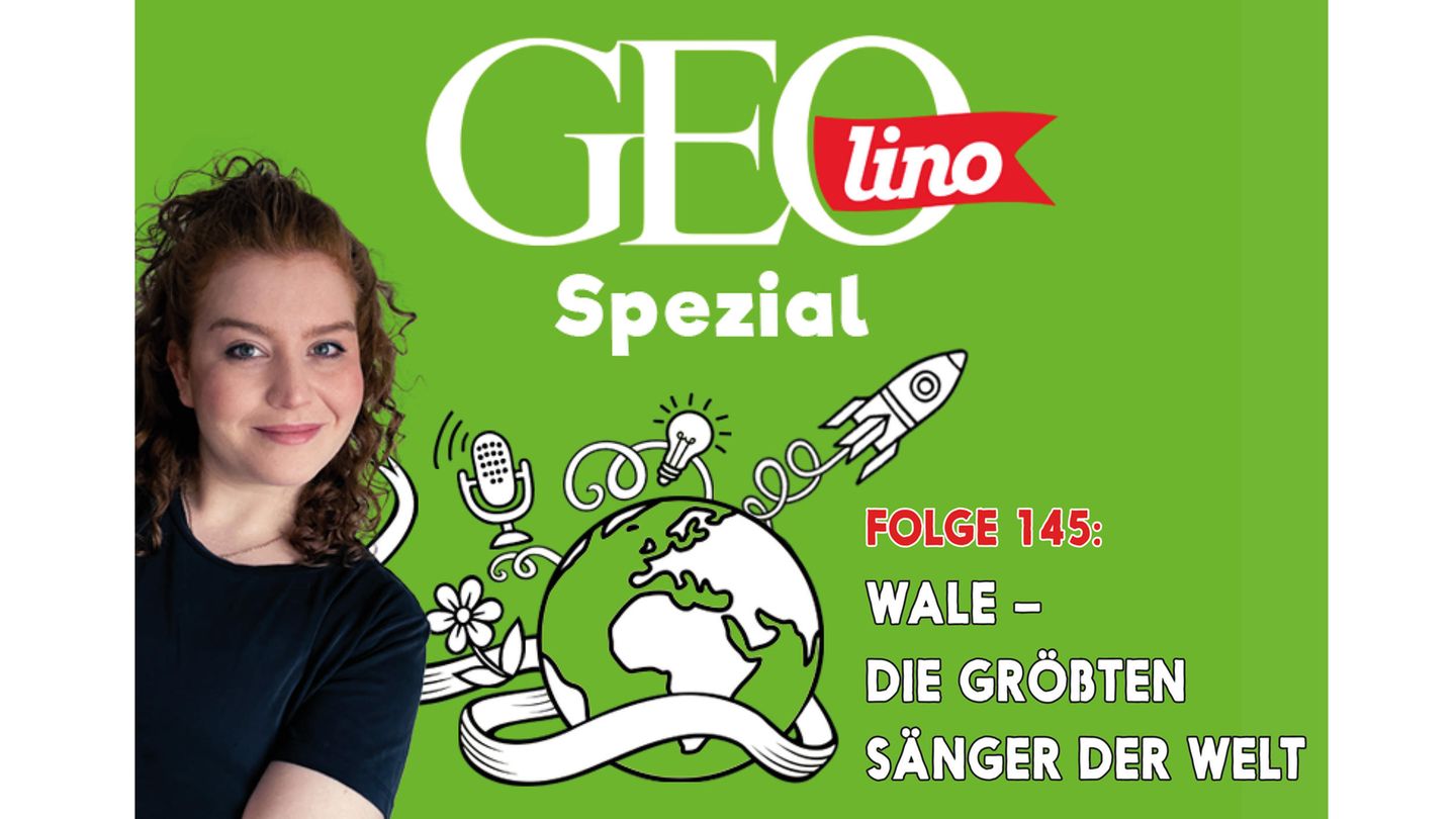 In Folge 145 unseres GEOlino Podcasts: Wale sind echte Meistersänger!