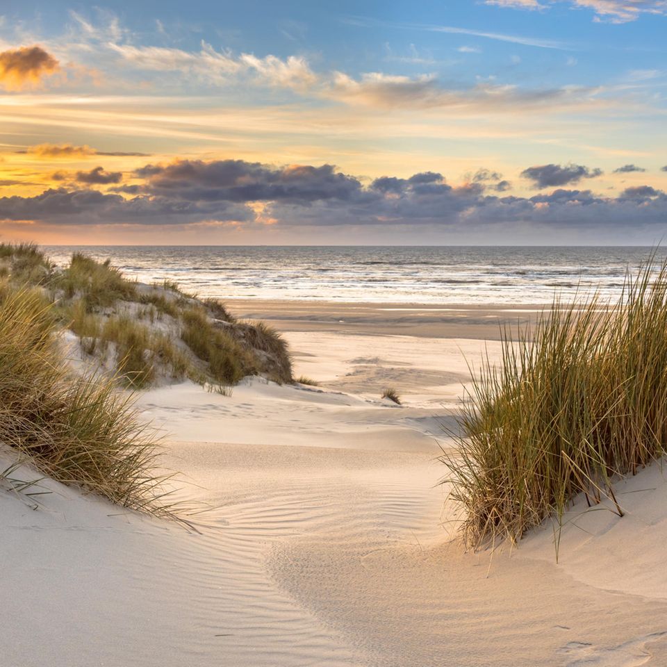 Blick über die Dünen aufs Meer bei Sonnenuntergang